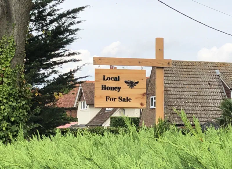 Brundall Bee honey for sale