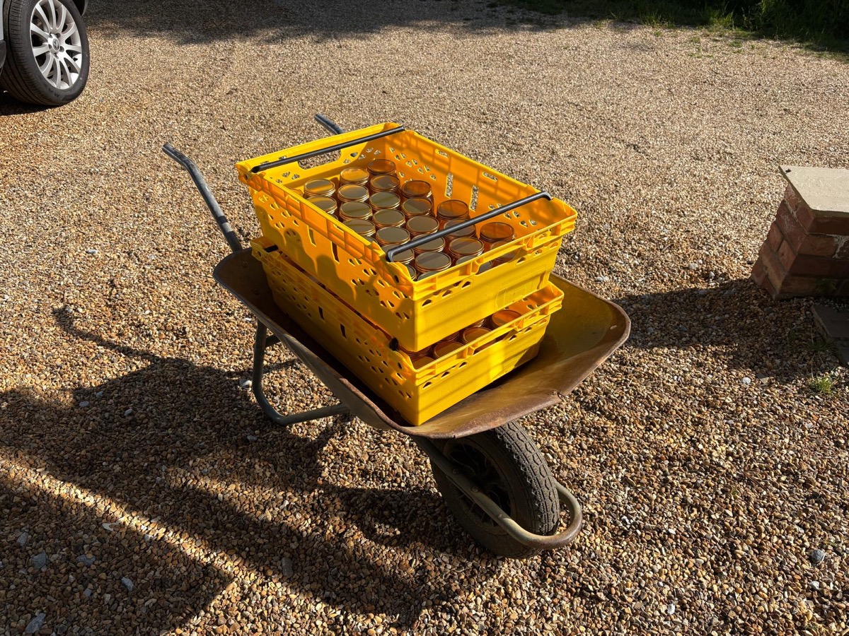 Two yellow crates of honey jars in a wheelbarrow on a gravel path in morning sun