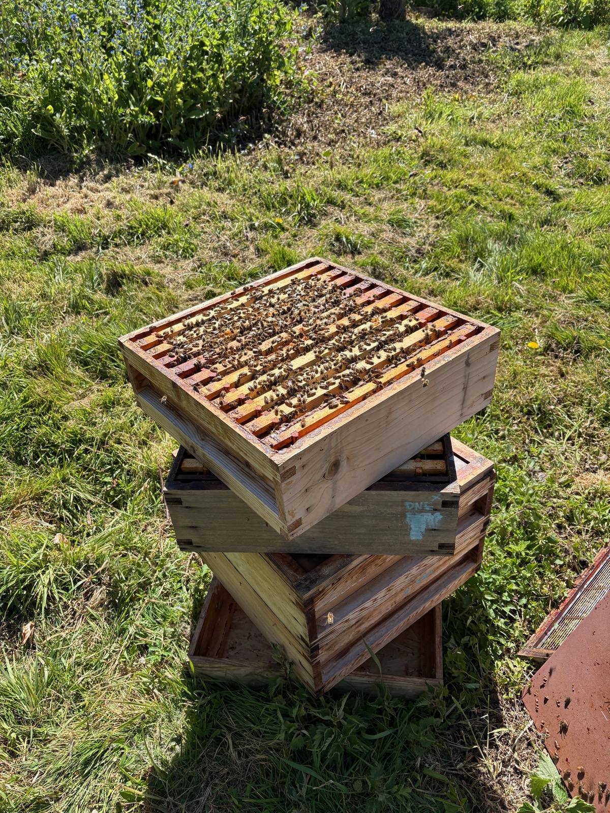 Four hive supers stacked on the grass, frames and bees visible in the top box