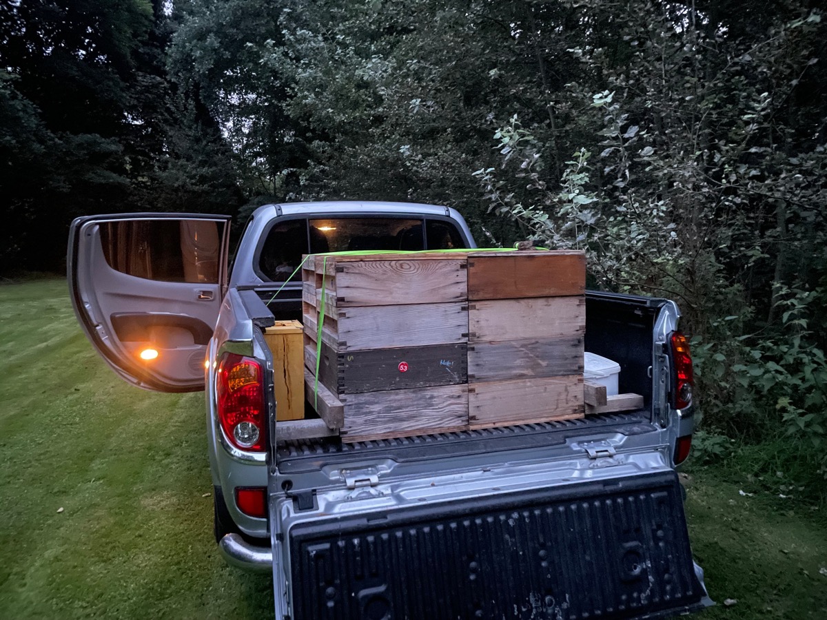 Wooden hive supers stacked on the bed of a pickup truck at dusk