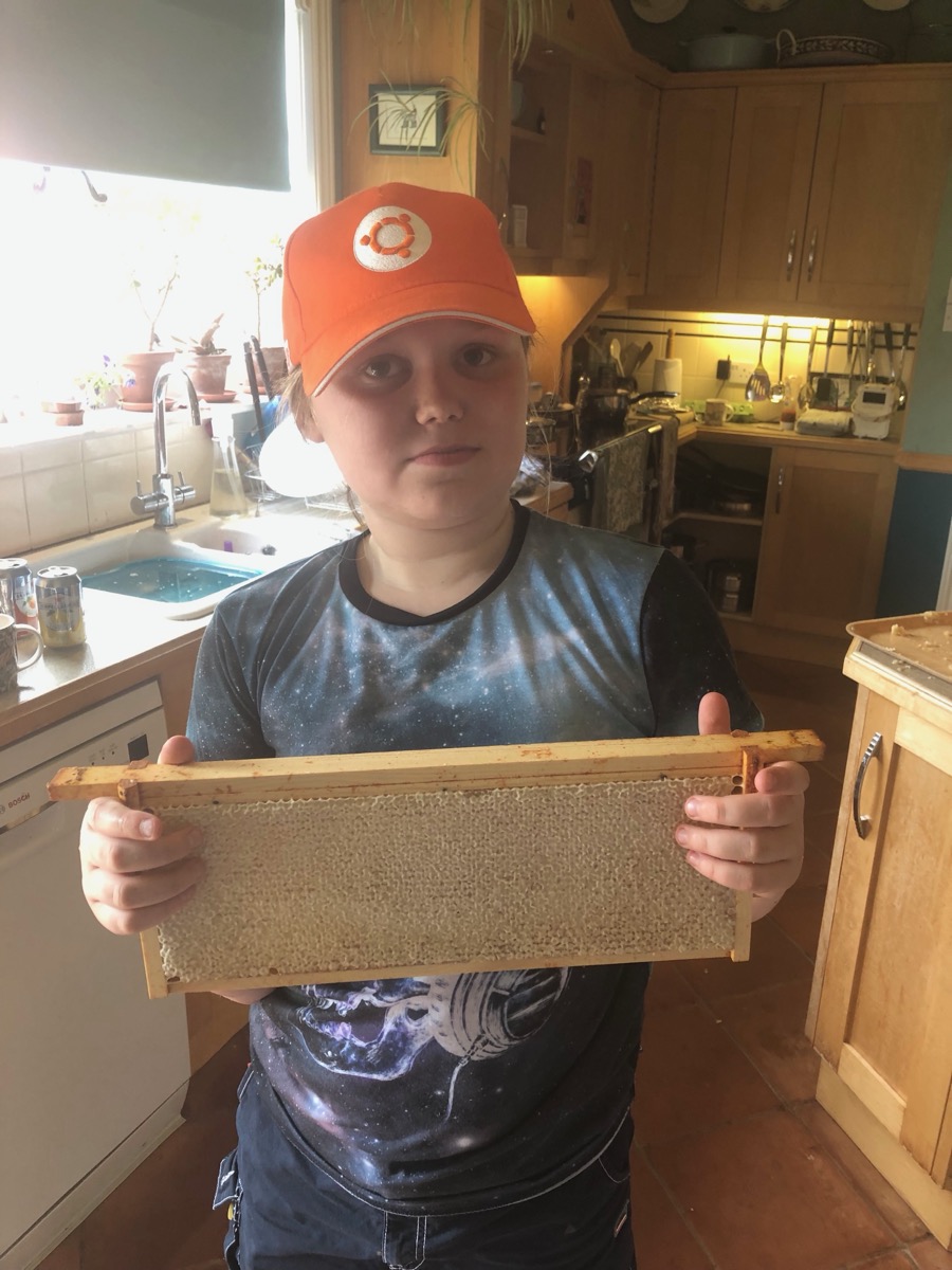 A child in an orange cap holding a fully sealed honey frame in a kitchen, looking pleased with himself