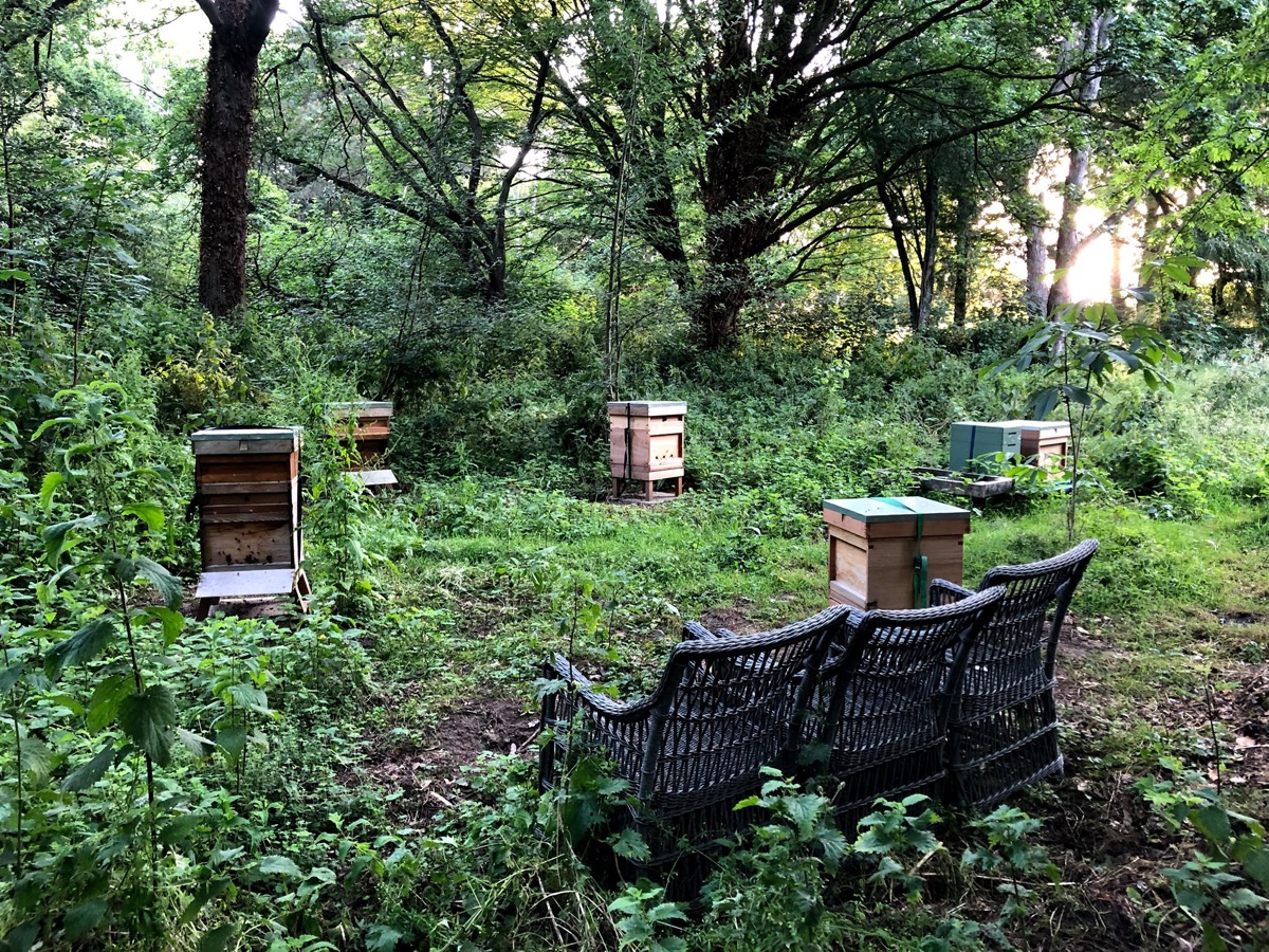 Our out apiary
